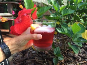 glass of iced hibiscus tea - paradise tea